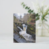 Carte Postale Yorkshire Dales, Ingleton - Pecca Falls (Debout devant)