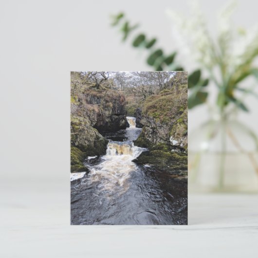 Carte Postale Yorkshire Dales, Ingleton - Rival Falls (Debout devant)