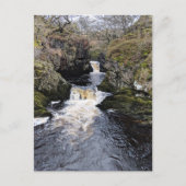 Carte Postale Yorkshire Dales, Ingleton - Rival Falls (Devant)