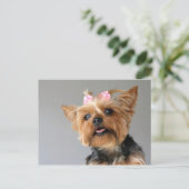 Carte Postale Yorkshire féminine (Debout devant)