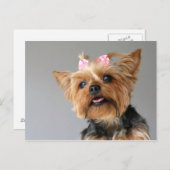 Carte Postale Yorkshire féminine (Devant / Derrière)