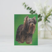 Carte Postale Yorkshire Terrier (Debout devant)