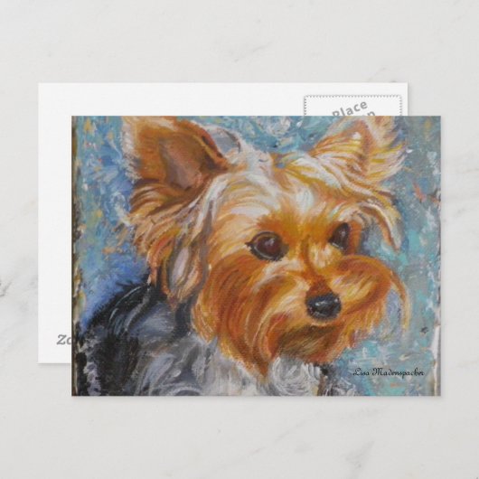 Carte postale Yorkshire Terrier (Devant / Derrière)