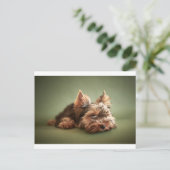 Carte Postale Yorkshire Terrier (Debout devant)
