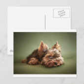 Carte Postale Yorkshire Terrier (Devant / Derrière)
