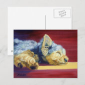 Carte Postale Yorkshire Terrier (Devant / Derrière)