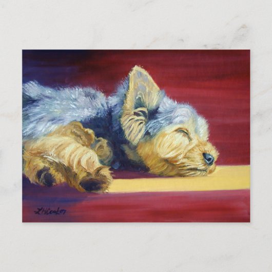 Carte Postale Yorkshire Terrier (Devant)