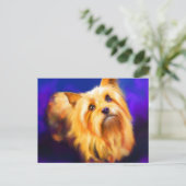 Carte postale Yorkshire Terrier (Debout devant)