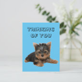 CARTE POSTALE YORKSHIRE TERRIER (Debout devant)