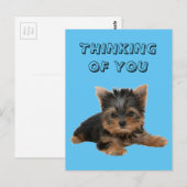 CARTE POSTALE YORKSHIRE TERRIER (Devant / Derrière)