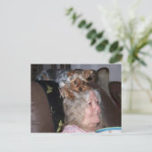 Carte postale Yorkshire Terrier (Debout devant)