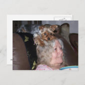 Carte postale Yorkshire Terrier (Devant / Derrière)