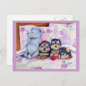 Carte postale Yorkshire Terrier (Devant / Derrière)