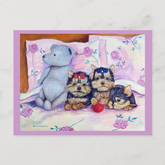 Carte postale Yorkshire Terrier (Devant)