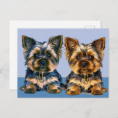 Carte Postale Yorkshire Terrier (Devant / Derrière)