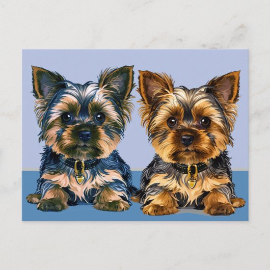 Carte Postale Yorkshire Terrier (Devant)