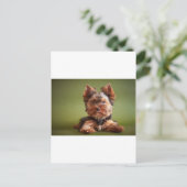 Carte Postale Yorkshire Terrier (Debout devant)