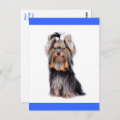 Carte Postale Yorkshire Terrier Chien Chien Chien Blanc Bleu Car (Devant / Derrière)