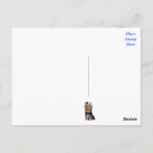 Carte Postale Yorkshire Terrier Chien Chien Chien Blanc Bleu Car (Dos)