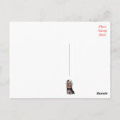 Carte Postale Yorkshire Terrier Chien Chien Chien Chien Blanc Ro (Dos)