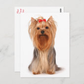 Carte Postale Yorkshire Terrier Chien Chien Puppy Blank Yorkie C (Devant / Derrière)