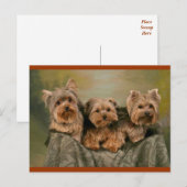 Carte Postale Yorkshire Terrier Chiens de marionnettes Blank Car (Devant / Derrière)