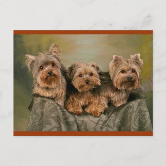 Carte Postale Yorkshire Terrier Chiens de marionnettes Blank Car (Devant)