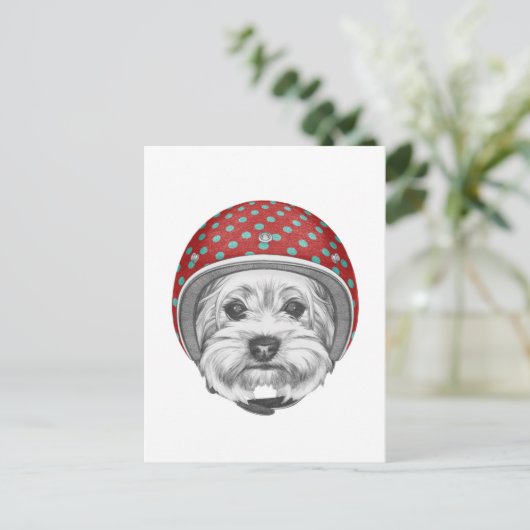 Carte Postale Yorkshire Terrier Daredevil (Debout devant)