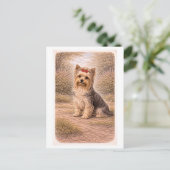 Carte Postale Yorkshire Terrier de style vintage (Debout devant)