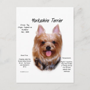 Carte Postale Yorkshire Terrier Histoire