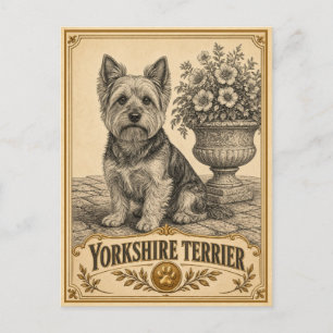 Carte Postale Yorkshire Terrier, Objet de Patrimoine Canin Vinta