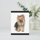 Carte Postale Yorkshire Terrier Puppy Dog Blank Postcard (Debout devant)