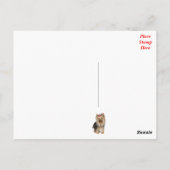 Carte Postale Yorkshire Terrier Puppy Dog Blank Postcard (Dos)
