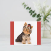 Carte Postale Yorkshire Terrier Puppy Dog Blank Postcard (Debout devant)