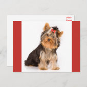 Carte Postale Yorkshire Terrier Puppy Dog Blank Postcard (Devant / Derrière)