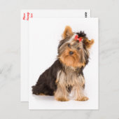 Carte Postale Yorkshire Terrier Puppy Dog Blank Postcard (Devant / Derrière)