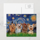 Carte Postale Yorkshire Terrier Quad - Nuit étoilée (Devant / Derrière)