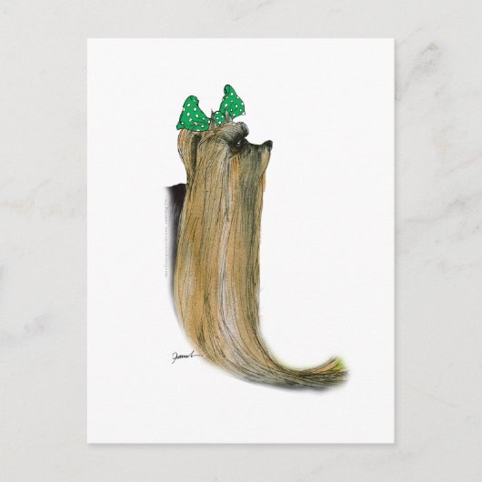Carte Postale Yorkshire Terrier, tony fernandes (Devant)
