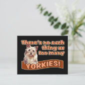 CARTE POSTALE YORKSHIRE TERRIERS (Debout devant)