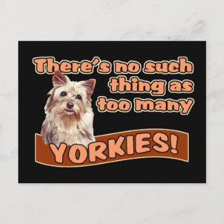 CARTE POSTALE YORKSHIRE TERRIERS
