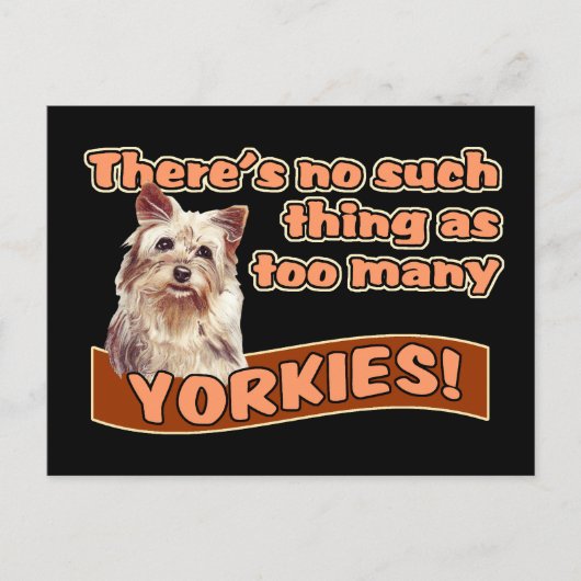 CARTE POSTALE YORKSHIRE TERRIERS (Devant)