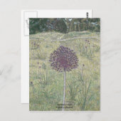 Carte Postale Yorktown Onion (Devant / Derrière)