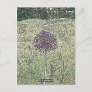 Carte Postale Yorktown Onion