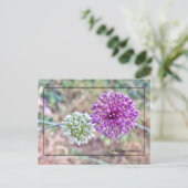 Carte postale Yorktown Onion - Virginie historique (Debout devant)