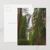 Carte Postale Yosemite Falls à travers la forêt (Devant / Derrière)