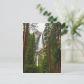 Carte Postale Yosemite Falls à travers la forêt (Debout devant)