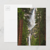 Carte Postale Yosemite Falls, Californie (Devant / Derrière)