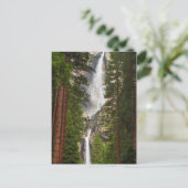 Carte Postale Yosemite Falls, Californie (Debout devant)