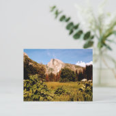 Carte postale Yosemite National Park California (Debout devant)