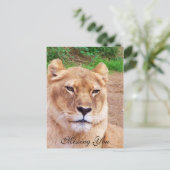 Carte postale You_ manquante (Debout devant)
